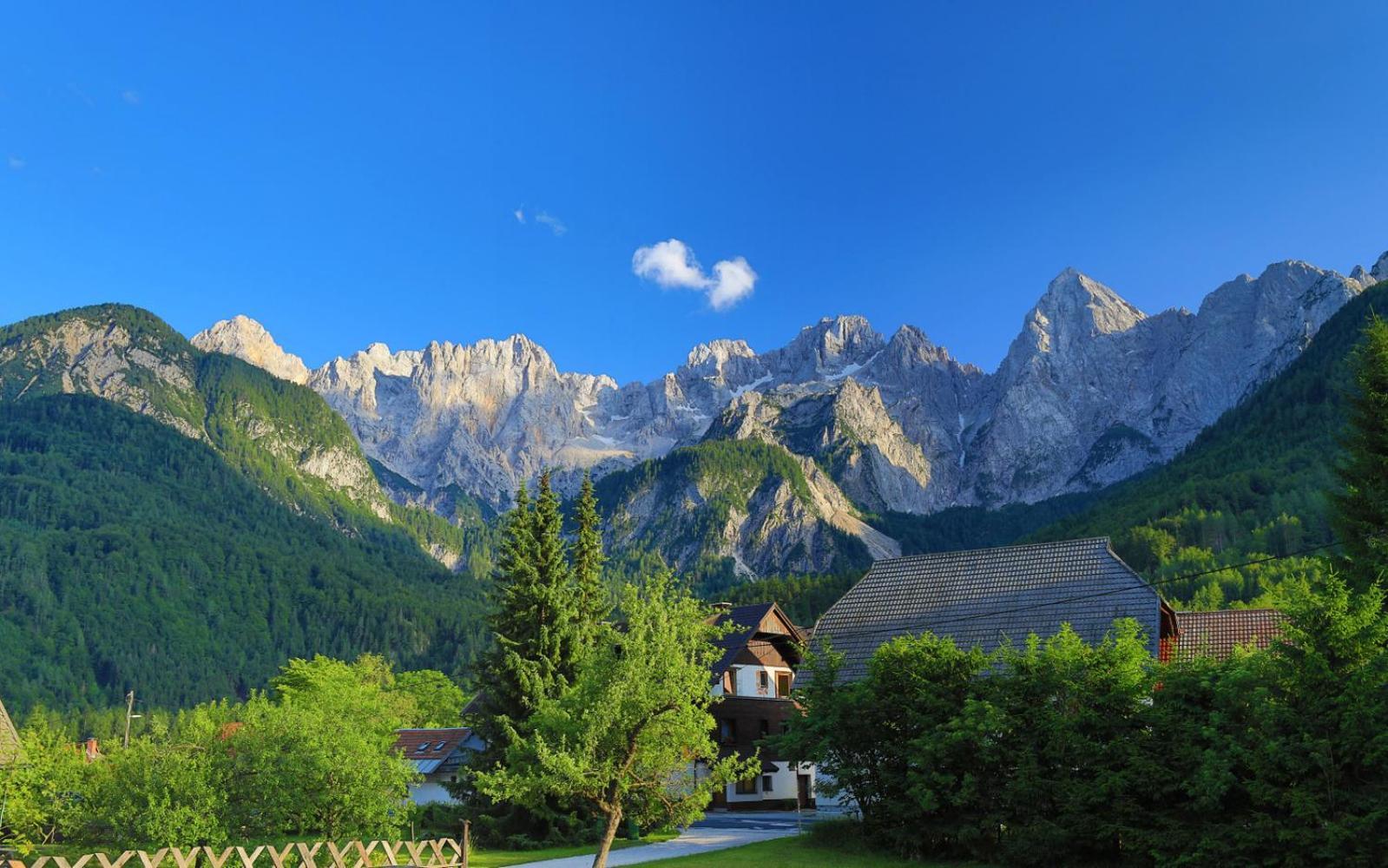 Apartments In Villa Flora Apartment Kranjska Gora
